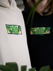 Monstera Deliciosa